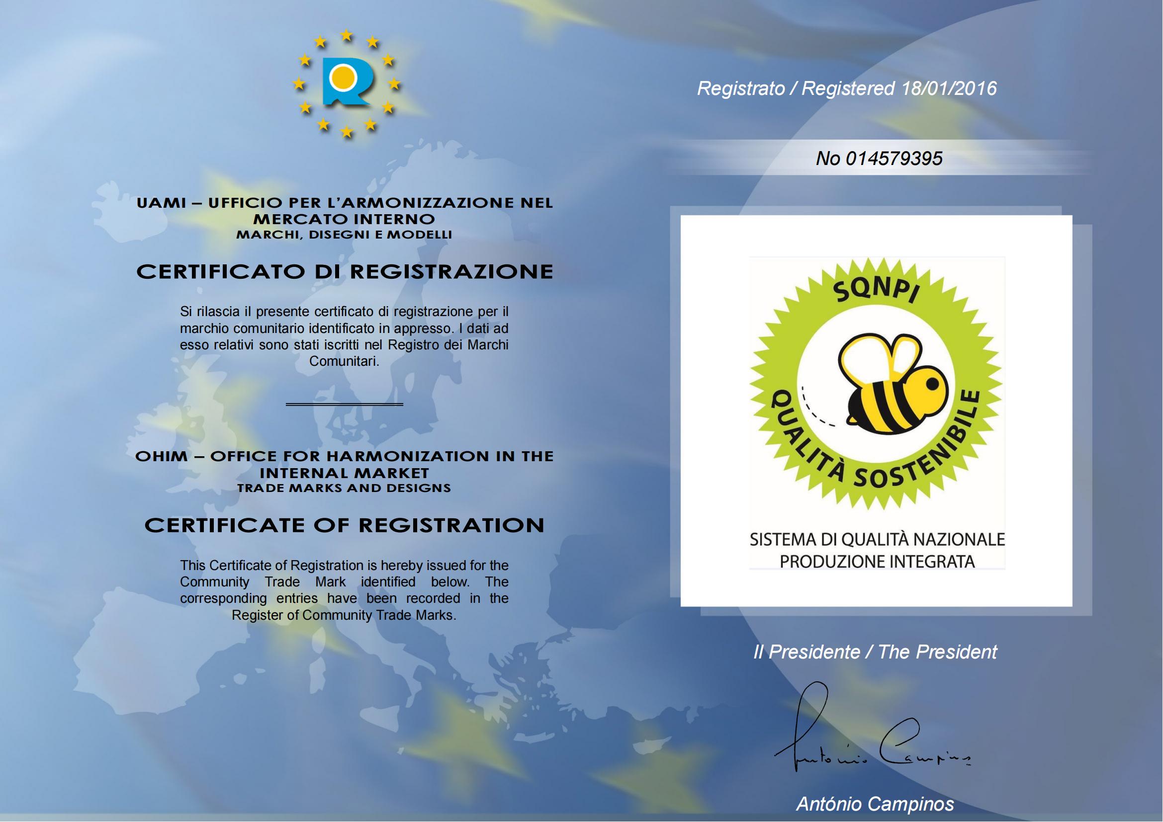 ebc0c872-aa44-479c-bed8-ed24d2e9cd95.jpg